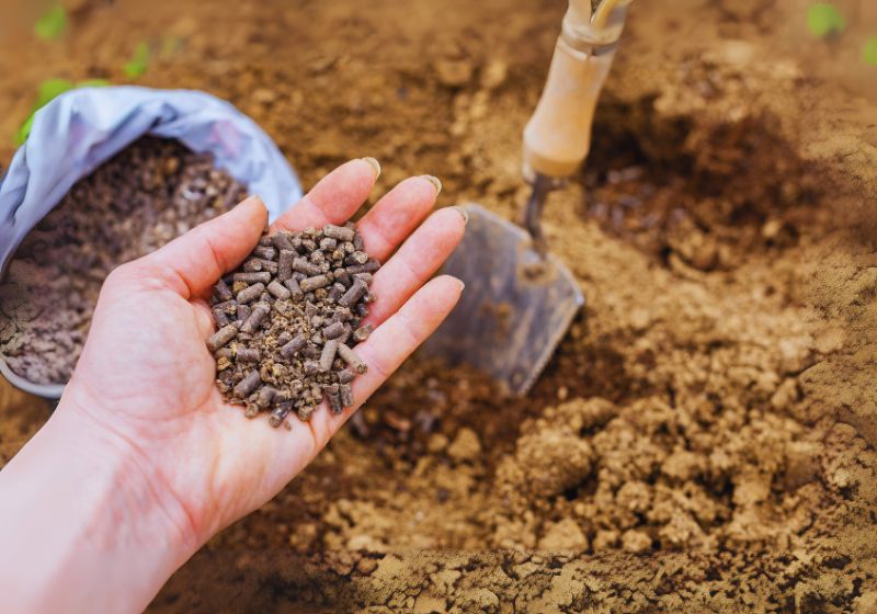 Amending the Soil