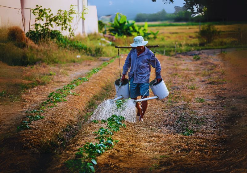 Watering