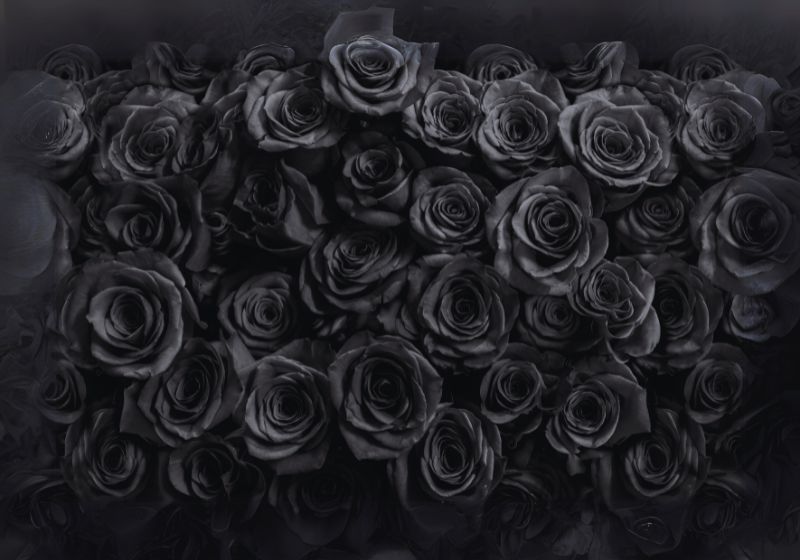 Black Flowers