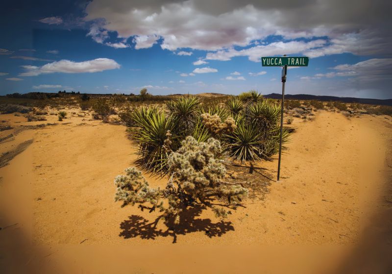Dining in Yucca Valley