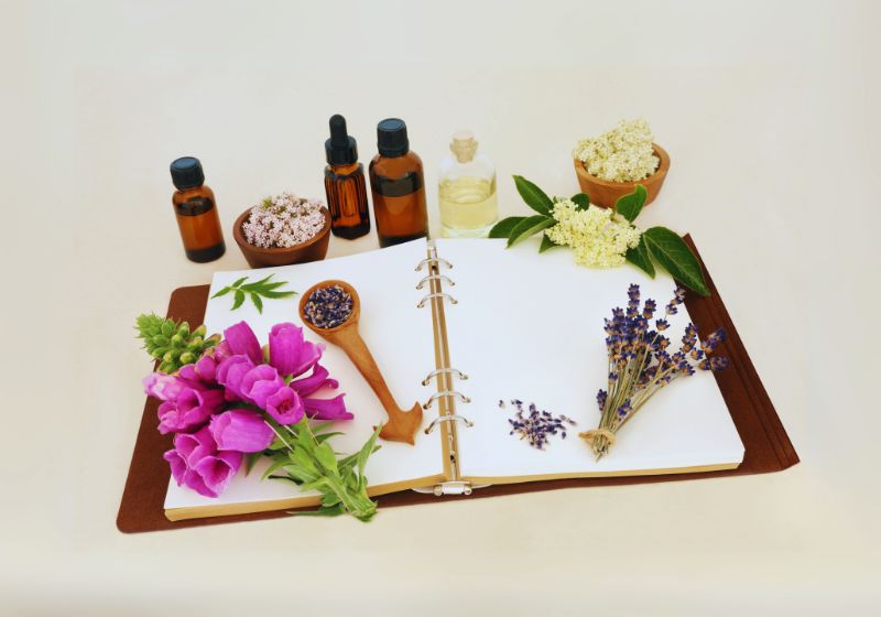 Edible and Medicinal Uses