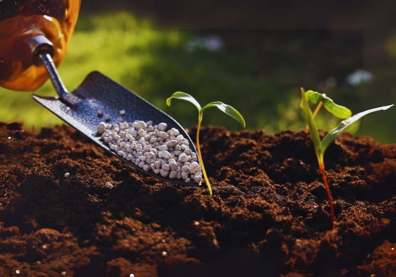 Fertilizing