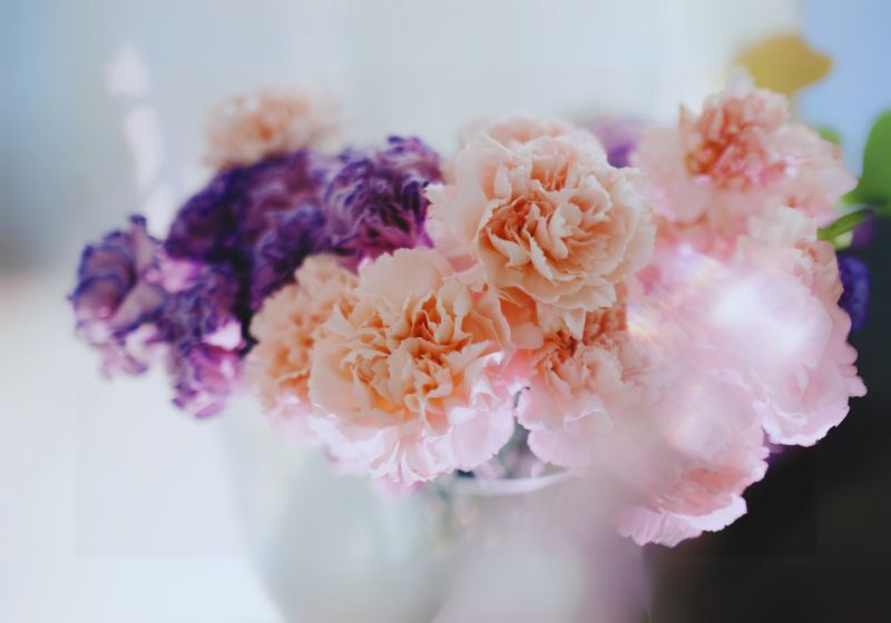 Peonies as a Popular