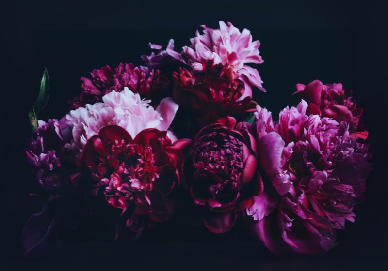 Peony Bouquets
