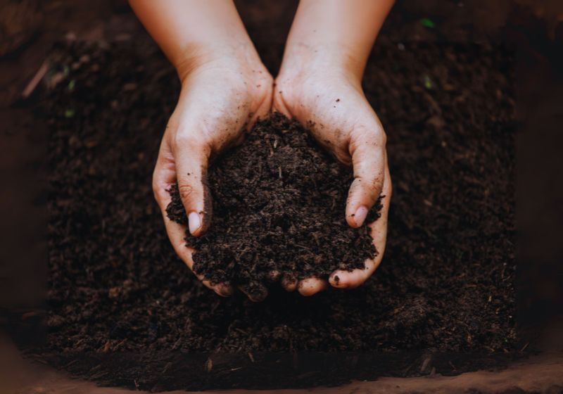 Preparing the Soil