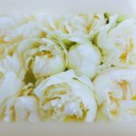 How to Create Stunning Peony Bouquets: A Complete Guide