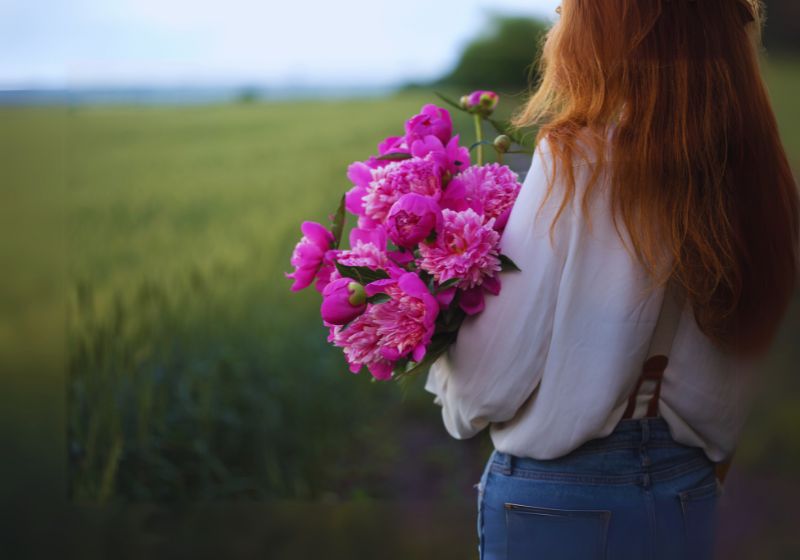 Peonies in the Language of Flowers