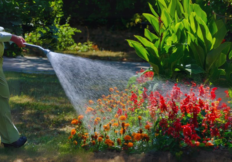 Watering