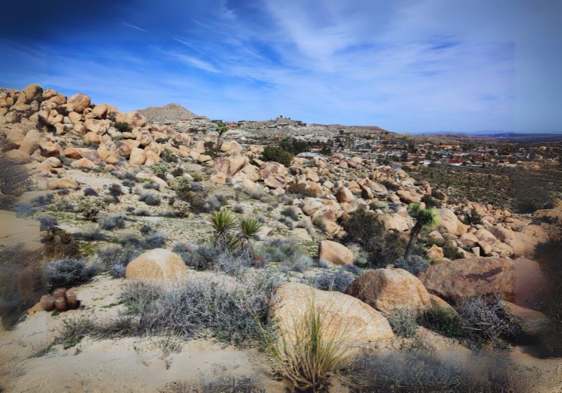 Yucca Valley Art and Culture