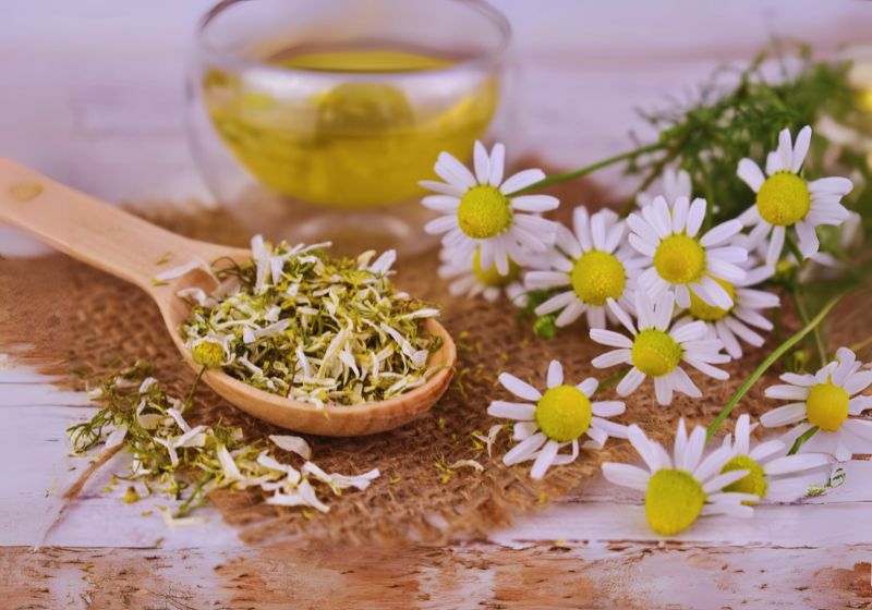 Chamomile Tea