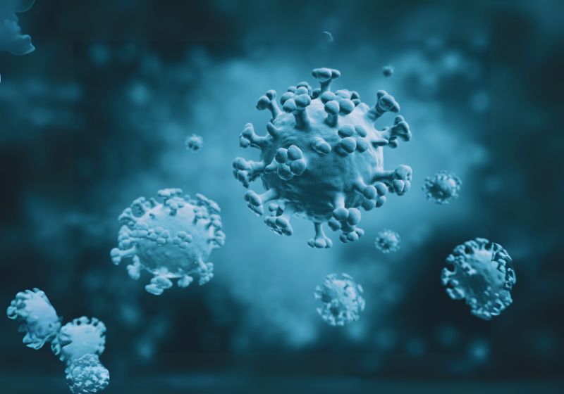 Get the Flu Vaccine