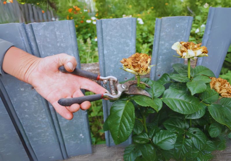 Deadheading