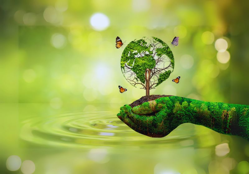 Environmental Benefits