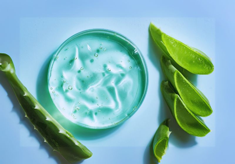 What is Aloe Vera?