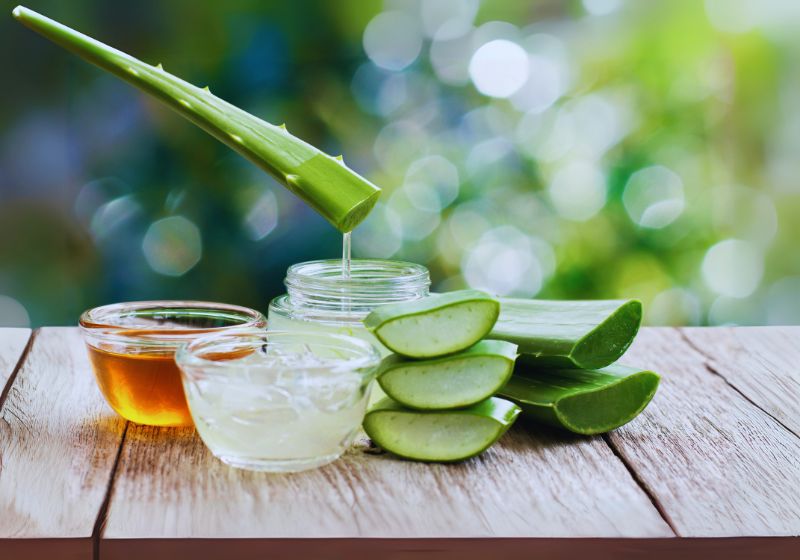Aloe Vera