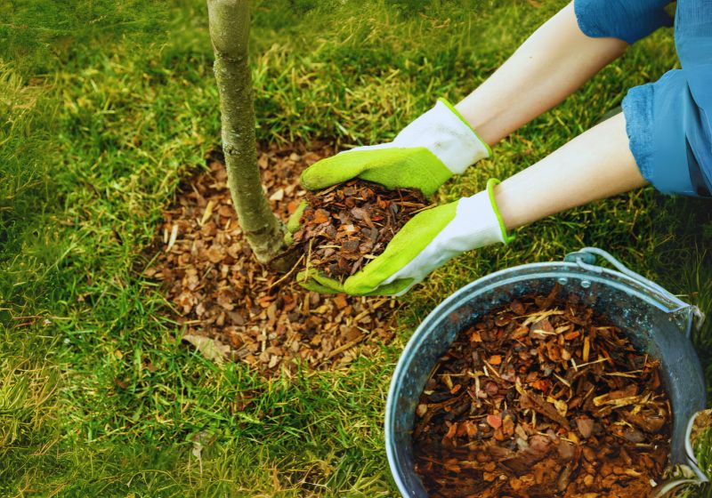 Fertilizing