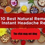 How to Plant and Grow Delphinium: 2025 Guide