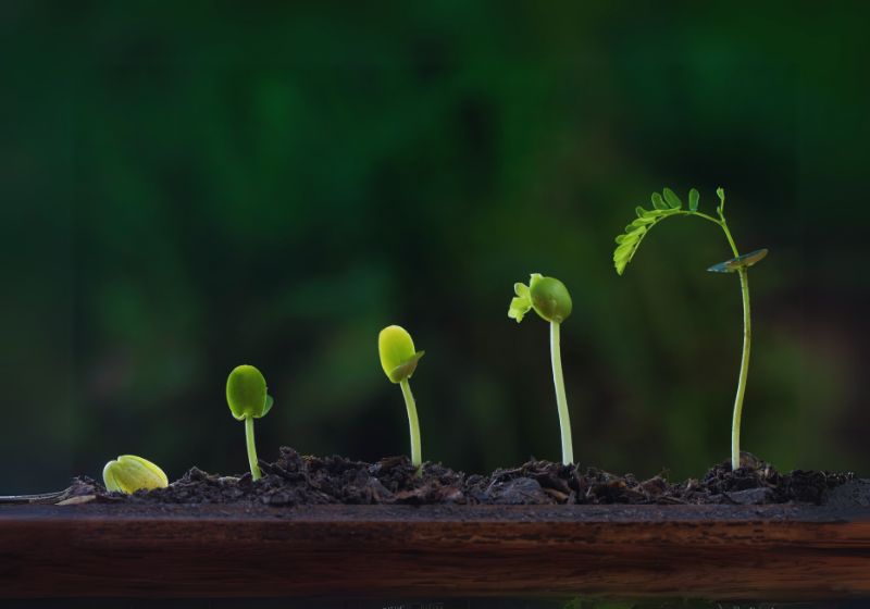 Propagation Methods