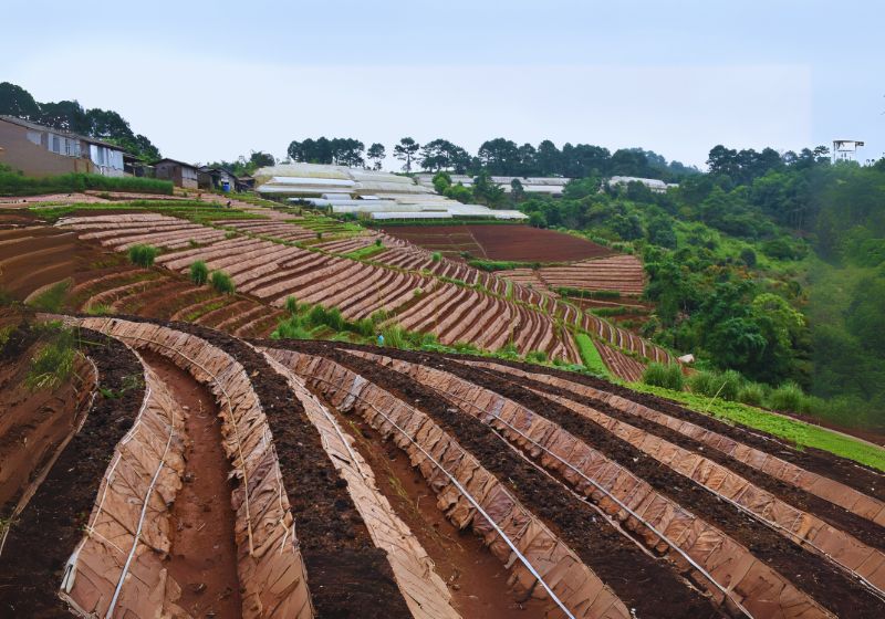 Preparing the Soil