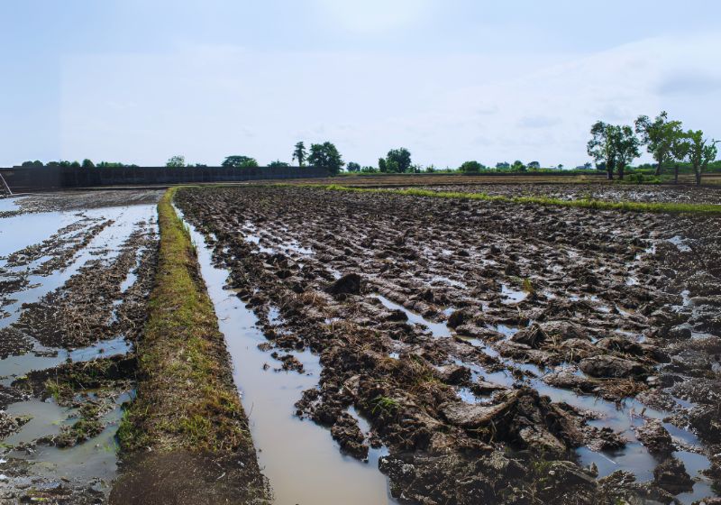 Soil Preparation