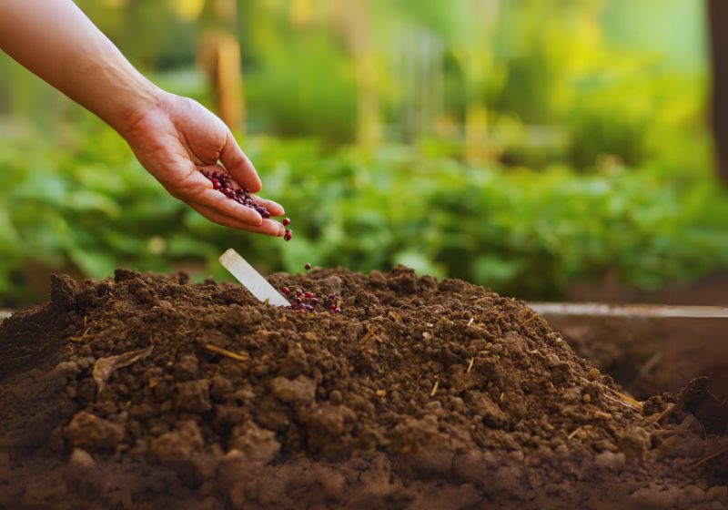 When to Plant